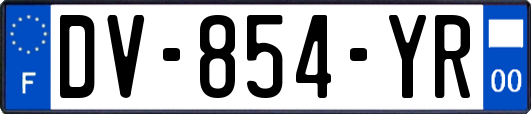 DV-854-YR