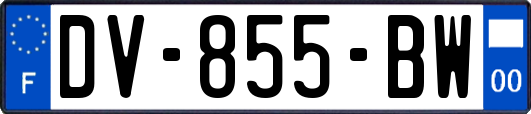 DV-855-BW