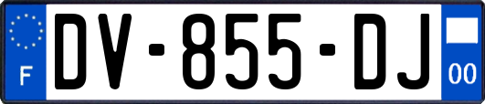 DV-855-DJ