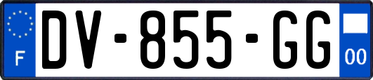 DV-855-GG