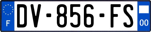 DV-856-FS