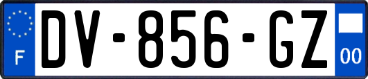 DV-856-GZ