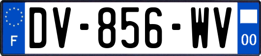 DV-856-WV