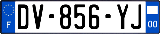 DV-856-YJ