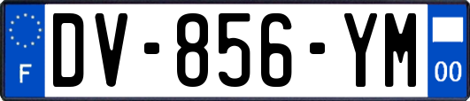 DV-856-YM