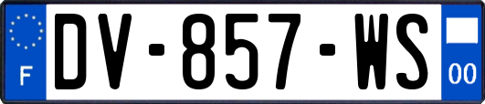 DV-857-WS