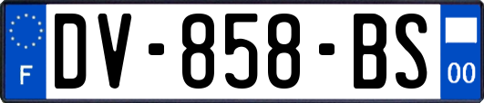 DV-858-BS