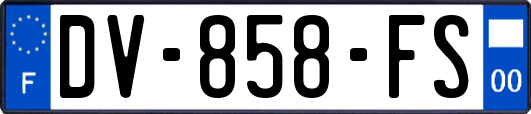 DV-858-FS