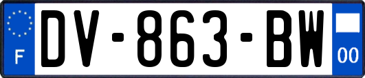 DV-863-BW