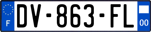 DV-863-FL