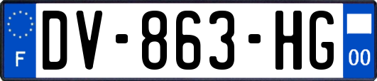 DV-863-HG