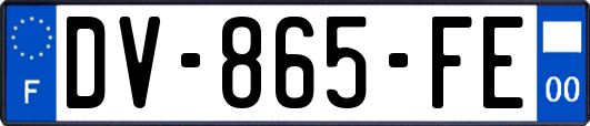 DV-865-FE