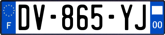 DV-865-YJ