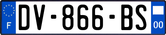 DV-866-BS