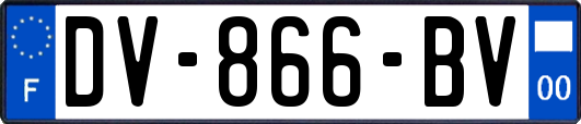 DV-866-BV