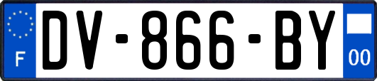 DV-866-BY