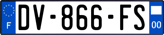 DV-866-FS