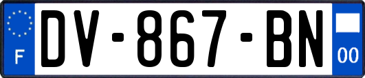 DV-867-BN