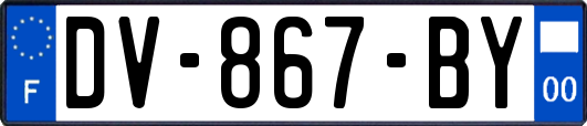 DV-867-BY