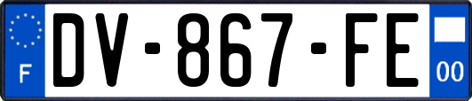 DV-867-FE