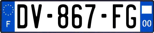 DV-867-FG