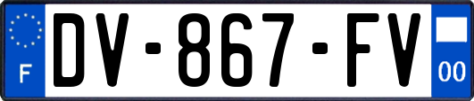 DV-867-FV