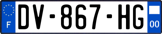 DV-867-HG