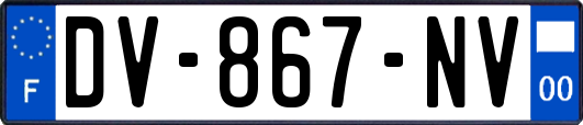 DV-867-NV