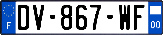 DV-867-WF
