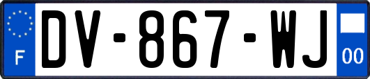 DV-867-WJ