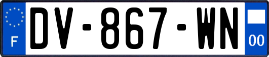 DV-867-WN