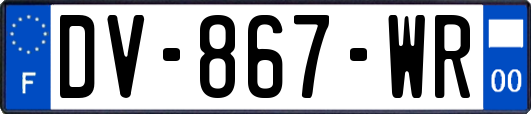 DV-867-WR