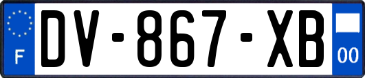 DV-867-XB