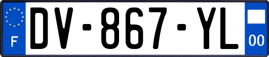 DV-867-YL
