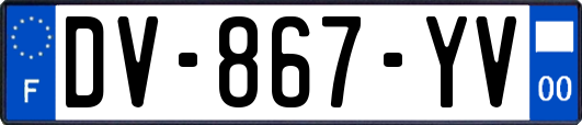 DV-867-YV