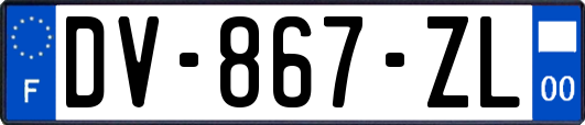 DV-867-ZL