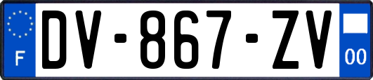 DV-867-ZV
