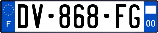 DV-868-FG