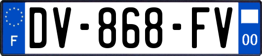 DV-868-FV
