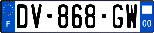 DV-868-GW