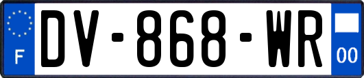 DV-868-WR