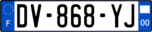 DV-868-YJ