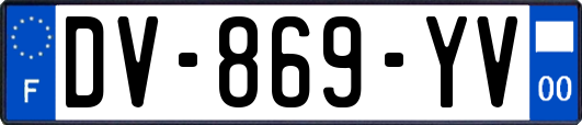 DV-869-YV