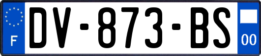 DV-873-BS