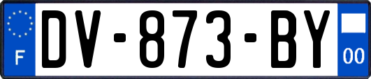 DV-873-BY