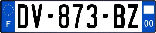 DV-873-BZ