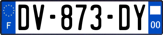 DV-873-DY