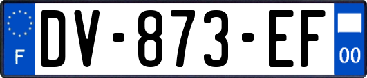 DV-873-EF