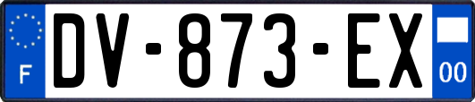 DV-873-EX