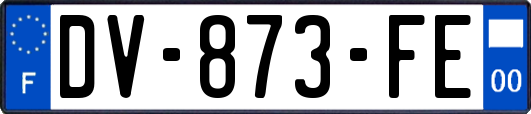 DV-873-FE